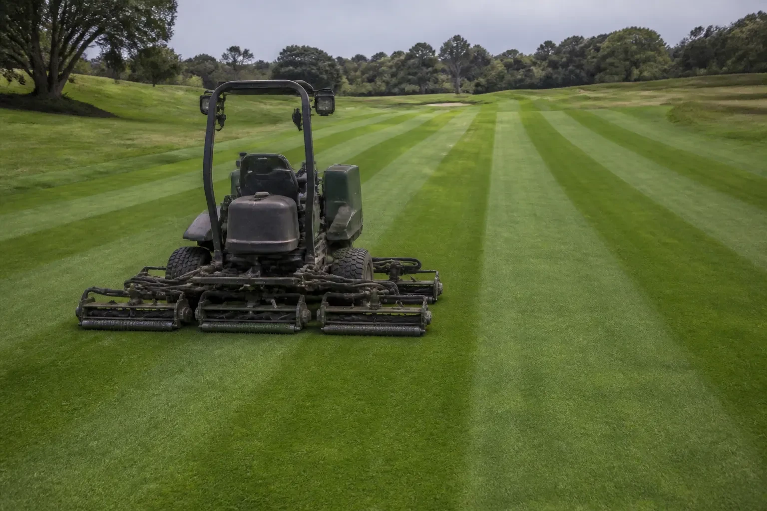 Fairway mower working across a golf fairway